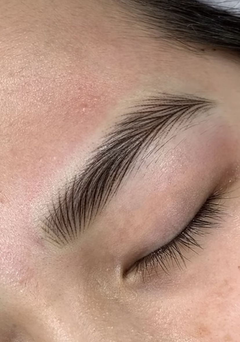 Lidylle Microblading course Nanblading stroke hair brows