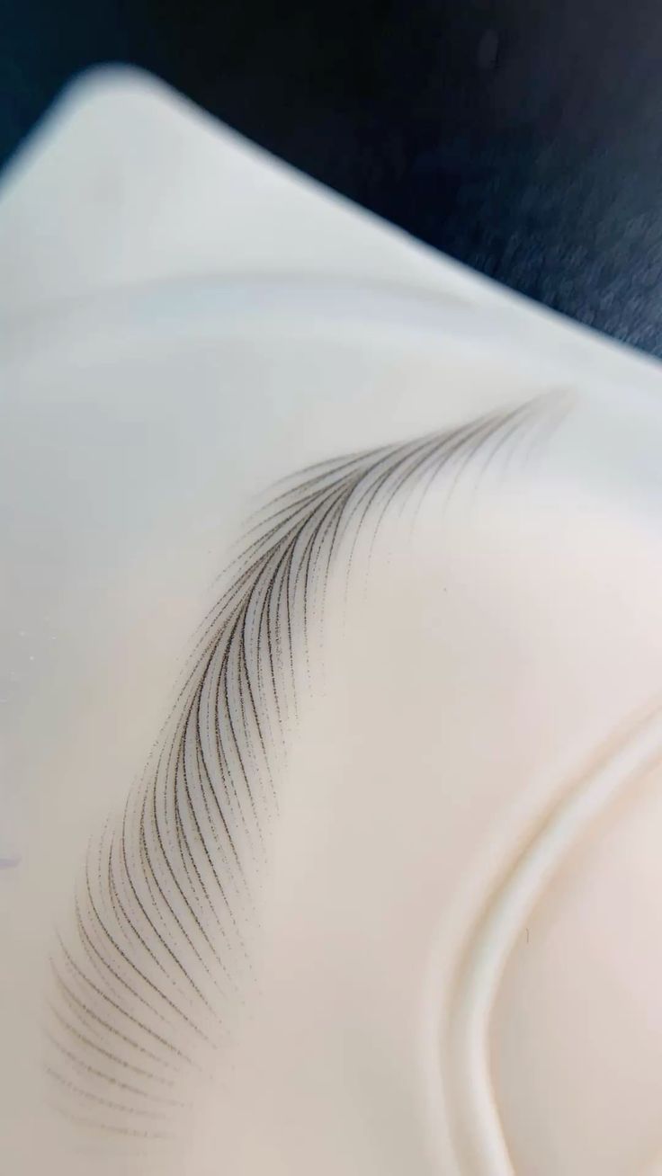 student nanoblading eyebrow stroke hair lidylle studio eyebrow microblading course